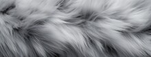 A Close Up Of A Textured Gray Fur Texture Background. Gray Texture Background