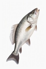 Poster - A fish caught mid-air as it jumps out of the water. Perfect for illustrating motion and capturing the beauty of nature.