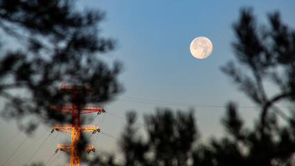 Wall Mural - full moon in the morning sky through the branches of trees. selective focus.