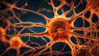 Close up Makro Aufnahme einer Nervenzelle mit Vernetzungen im Gehirn, Impulse Synapsen und Informationen fließen zum denken und wahrnehmen humane Forschung und medizinische Wissenschaft