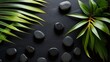 Palm leaves and smooth black wet stones contrasting against the neutral gray background