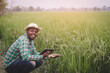 © arrowsmith2 - African farmer using tablet for research leaves of rice in organic farm field.Agriculture innovation concept