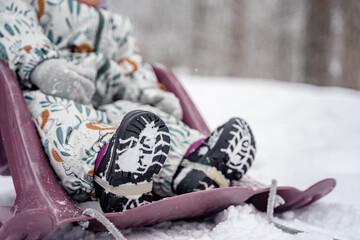 Wall Mural - Little baby child on a sled in a snowy pine forest in winter