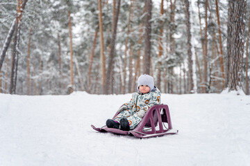 Wall Mural - Little baby child on a sled in a snowy pine forest in winter