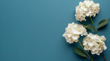 bouquet of white hydrangea flowers