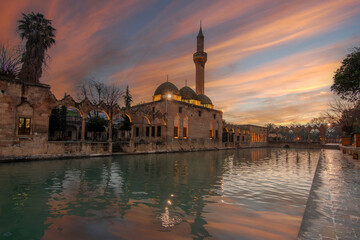 Wall Mural - Balikligol ( fish lake ) in Sanliurfa City of Turkey