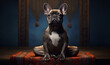 A calm dog sits in the lotus position. AI Generative