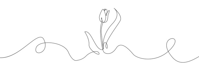 Wall Mural - Tulip one line drawing. Flower one line. Abstract flower continuous line. Minimalist contour drawing of tulip. Continuous line drawing of flower tulip. Hand drawn sketch of flower with leaves.