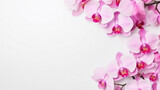 Fototapeta Storczyk - composition of a bouquet of orchid flowers, top view with copy space on a white background