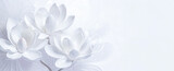 Fototapeta Kwiaty - Tapeta, kwiaty wiosenne, biała magnolia, puste miejsce	