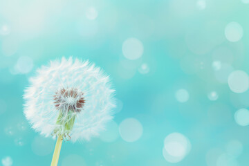 Wall Mural - Dreamy Dandelion, Whimsical Illustration on Bokeh Background