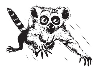 Wall Mural - Black and white linear paint draw Lemur vector illustration