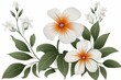 Three White Flowers With Orange Centers and Green Leaves