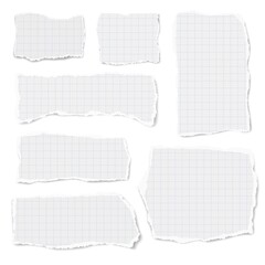 Wall Mural - Set of checkered paper of different shapes ripped scraps fragments wisps isolated on white background. Paper collage.