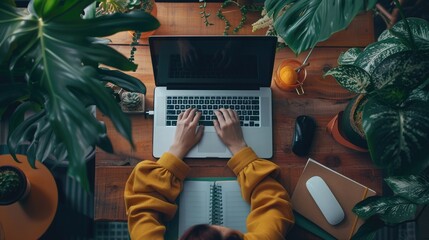 Poster - Businesswoman typing on laptop at workplace Woman working in home office hand keyboard