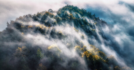 Wall Mural - aerial view of mountain forest in low clouds at sunrise in summer