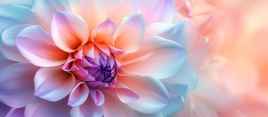 Wall Mural - A close up shot of a vibrant pink flower with detailed petals against a blurred background, showcasing the beauty of nature's art in shades of magenta and electric blue.