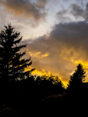 Wall Mural - Sunset over the alpine forest