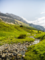 Wall Mural - Water stream in the alpine valley