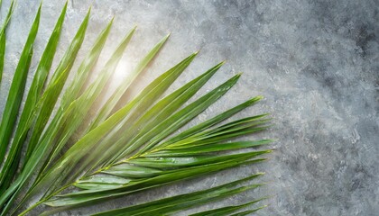 Wall Mural - palm sunday background cross and palm on grey background