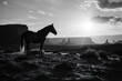 Photorealistic ai artwork of a horse in the desert with buttes and monuments in the valley at sunrise or sunset. Black and white style. Generative ai.