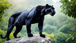 A formidable Panther standing on a rock surrounded by trees and vegetation. Splendid nature concept.