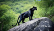 A formidable Panther standing on a rock surrounded by trees and vegetation. Splendid nature concept.