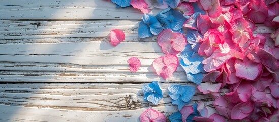 Poster - Beautiful Pink and Blue Flowers Arrangement on White Wooden Surface for Spring and Summer Decoration