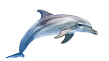 Fototapeta Dziecięca - beautiful dolphin fish isolated on transparent background