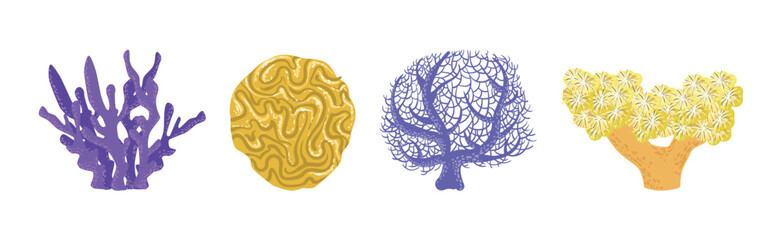 Poster - Colorful Reef Coral and Marine Hydranths Vector Set