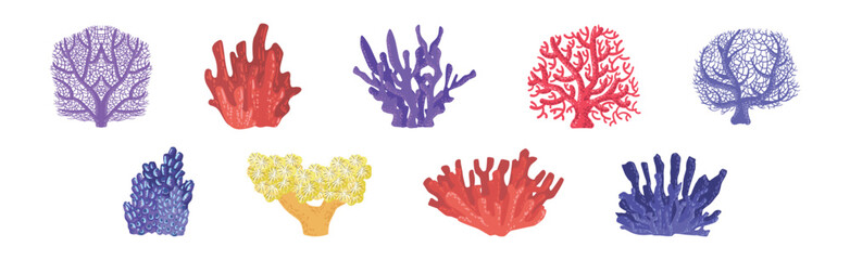 Poster - Colorful Reef Coral and Marine Hydranths Vector Set
