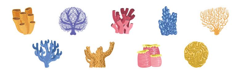 Poster - Colorful Reef Coral and Marine Hydranths Vector Set
