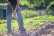 © shaploff - The farmer digs the soil in the vegetable garden. Preparing the soil for planting vegetables. Gardening concept. Agricultural work on the plantation