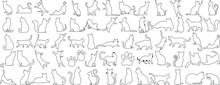 Cat Outline In Various Playful Poses. Perfect For Fabric, Wallpaper, Wrapping Paper. Elegant, Modern Design For Cat Lovers