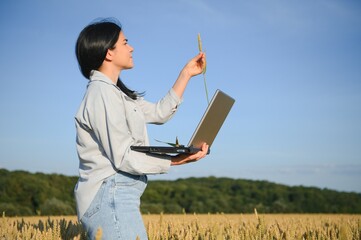 Wall Mural - A woman businessman with a laptop in her hands works in a wheat field, communicates and checks the harvest. woman farmer at sunset with computer. girl agronomist works. Agricultural business concept.