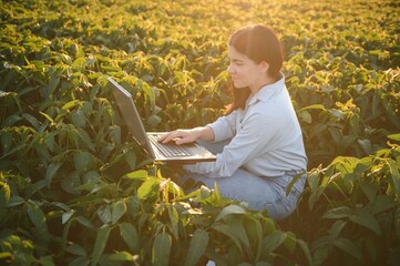 Sticker - Caucasian female farm worker inspecting soy at field summer evening time.