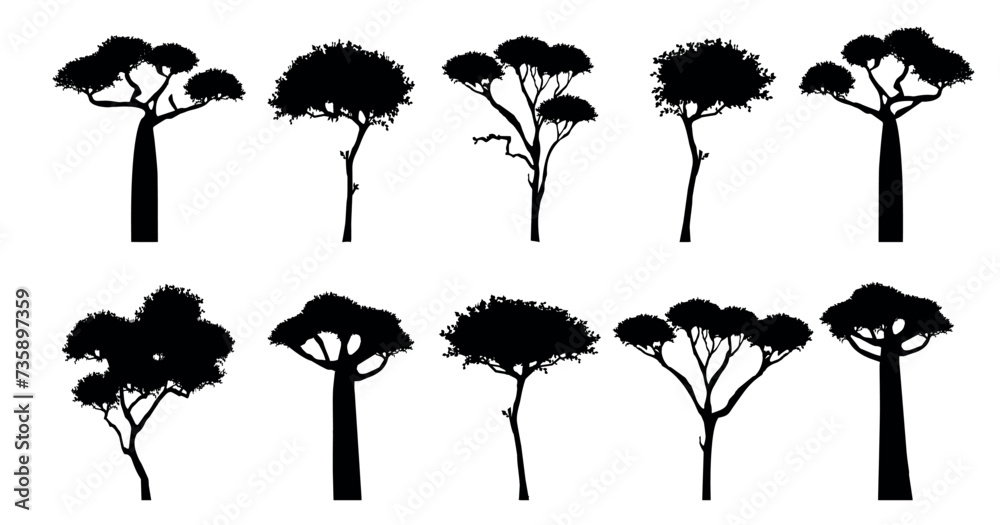 Silhouette Trees Of African Savannah Vector Set Twisted Acacia And 