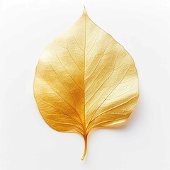 Wall Mural - a photo image of a Gold Leaf on a white background