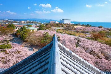 Poster - View from Nagahama Castle in Shiga, Japan