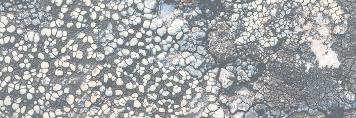Wall Mural - Natural texture of a stone covered with lichen. Lichenes patterns on a rock surface. Natural background. Closeup top view. The nature of the Arctic. Polar region.