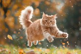 Fototapeta Koty - orange cat jumps in the air and catches some leaves