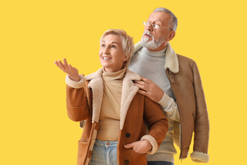 Wall Mural - Mature couple in sheepskin coats showing something on yellow background
