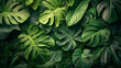 Tropical leaves texture. Abstract nature leaf green.