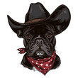© Ann - french bulldog dog Head wearing cowboy hat and bandana around neck