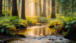 Serene forest scene with sunrays peering through tall trees, reflected in a calm stream surrounded by lush greenery.