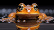 Close-up of a frog on a leaf created with Generative AI technology