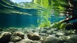 underwater of river natural landscape with stone pebble and water tree leaf flow in water beautiful nature background
