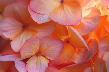Poster - A close-up view of a bunch of pink flowers. Ideal for adding a touch of beauty to any project or design