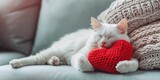 Fototapeta Koty - Sleeping white cat with a knitted toy in a bright modern cozy interior. Caring for Pets