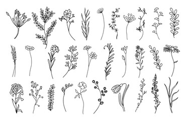 Wall Mural - Set of tiny wild flowers and plants line art vector botanical illustrations. Trendy greenery hand drawn black ink sketches collection. Modern design for logo, tattoo, wall art, branding and packaging.